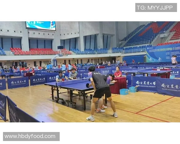 南京乒乓球队的训练与备战揭秘展现乒乓球的魅力与激情 南京乒乓球队的训练与备战揭秘展现乒乓球的魅力与激情