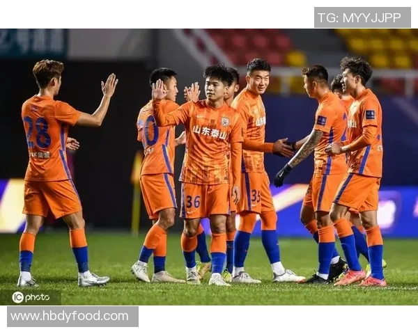 武汉排球队近期表现分析与未来发展方向探讨