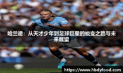 哈兰德：从天才少年到足球巨星的蜕变之路与未来展望